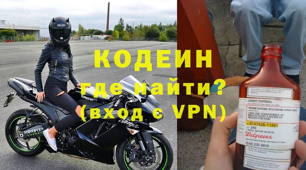 прущие грибы Великий Новгород