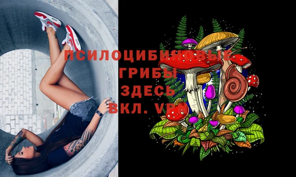 винт Абдулино