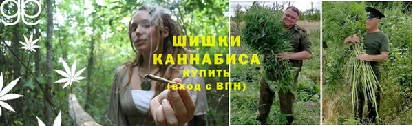 марихуана Абаза